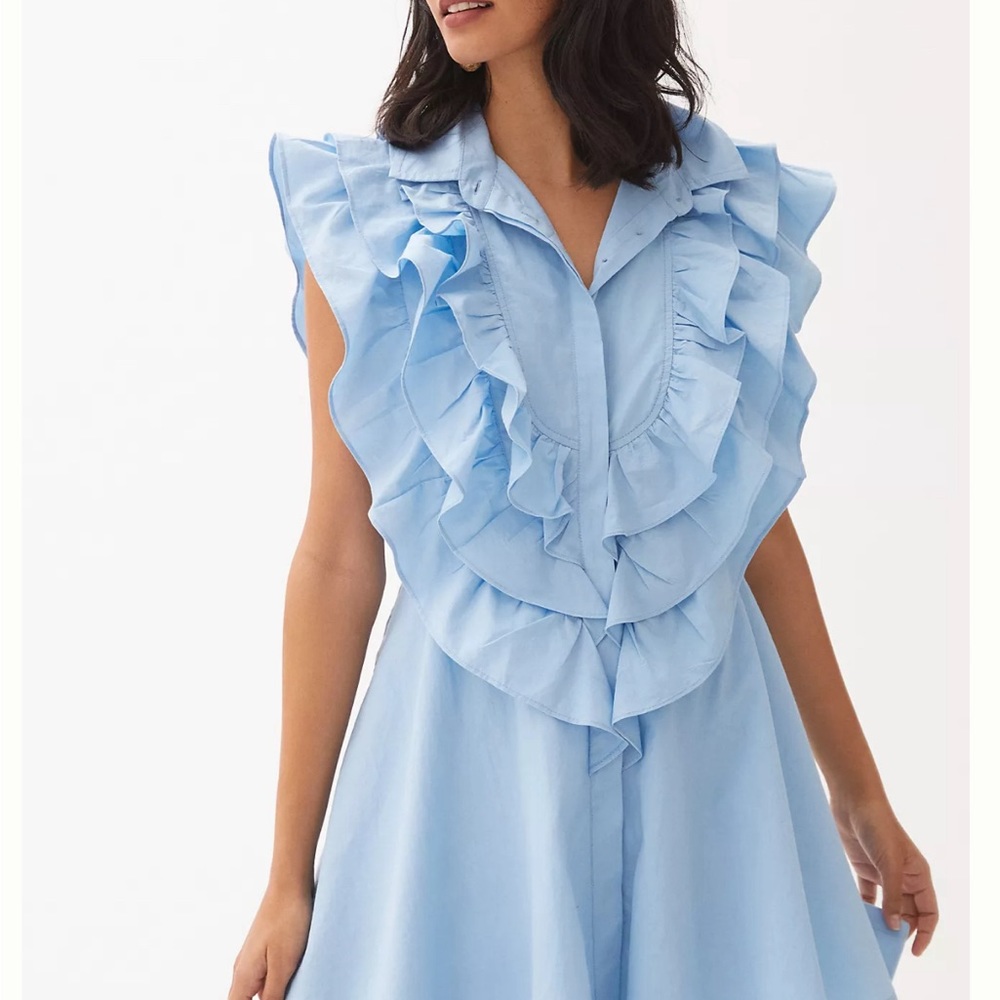 Maeve Ruffled Button-Front Mini Dress Petite